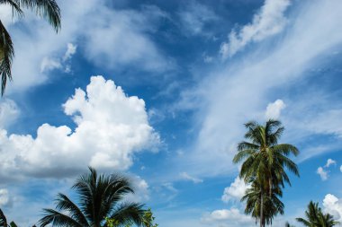 Güneş ile güzel bulutlar.