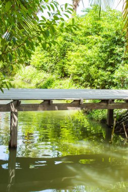 Tayland meyve bahçesi içinde kablo kanalı.