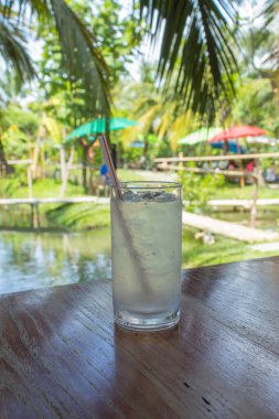 Su buz cam bahçe ahşap tablo.