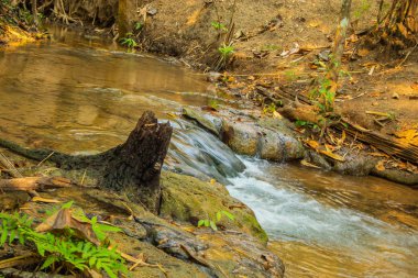 Sai Yok Yai şelale Tayland