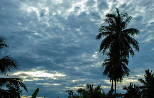 Luz Del Cielo Tarde — Foto de Stock