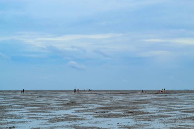 Turistler salyangoz kabukları: Samut sakhon, Thailand 15 Temmuz 2018 yerinde Don Hoi kat çamur üzerinde arıyorsunuz.