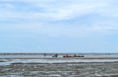 Bir tekne turist denize ve salyangoz kabukları: Samut sakhon, Thailand 15 Temmuz 2018 yerinde Don Hoi kat çamur üzerinde arayan turist.