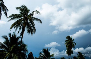 Gündüzleri bulutlu gökyüzü bulutlu.