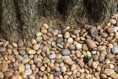 Bir arka plan olarak kullanmak çakıl.