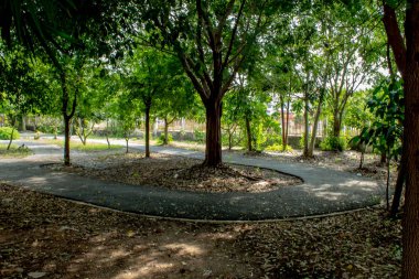 Parkta çalıştırmak için yol.