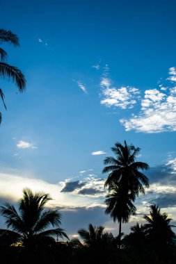 Ne zaman yeni bir gün sabah ışık geliyor