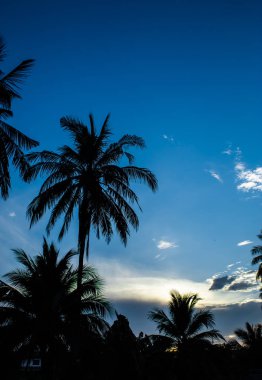 Ne zaman yeni bir gün sabah ışık geliyor