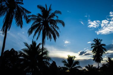 Ne zaman yeni bir gün sabah ışık geliyor