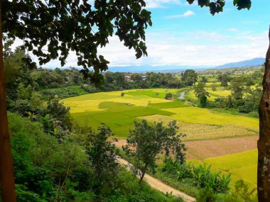 Pirinç Pua bölge, Nan il güzelliği