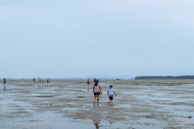 Turistler Samut karaman, Tayland Don Hoi lot yerde çamur üzerinde salyangoz kabukları arıyor.