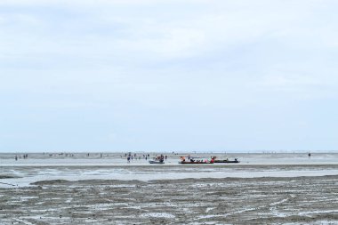 Bir tekne turist denize ve salyangoz kabukları Samut songkham, Tayland yerinde Don Hoi kat çamur üzerinde arayan turist.