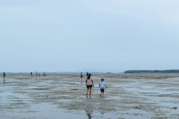 Turistler Samut karaman, Tayland Don Hoi lot yerde çamur üzerinde salyangoz kabukları arıyor.