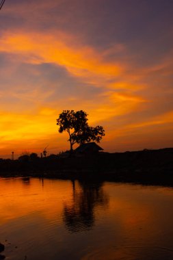 Ağaçların arkasında gün batımının güzel ışığı.