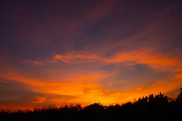 Прекрасне Світло Заходу Сонця Деревами — стокове фото