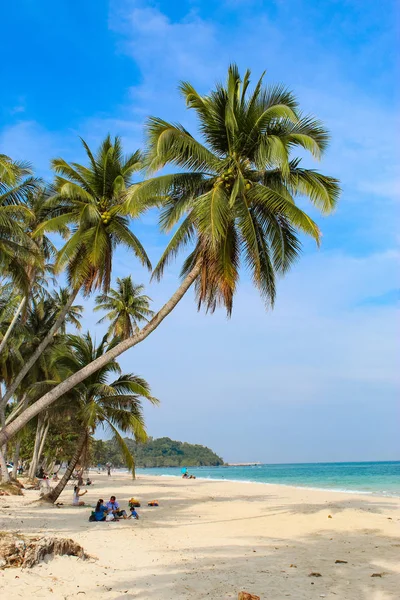 Palmy Kokosowe Plaży Lato — Zdjęcie stockowe