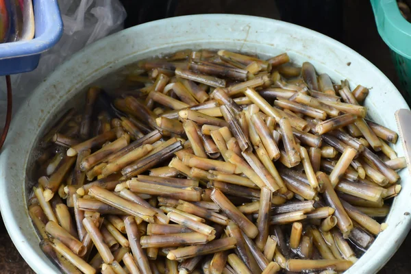 Conchas Caracol Bacia Lote Don Hoi Samut Songkham Tailândia — Fotografia de Stock