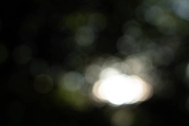 Işığın görüntü bulanıklığı ve yaprakların arasından parlayan güneş.