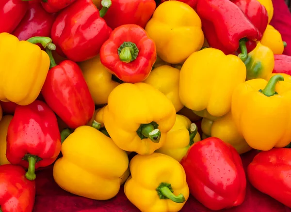 Sweet pepper, yellow and red in Thailand.