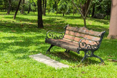 Parkta çim sandalye.
