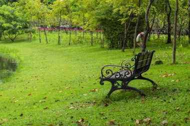 Parkta çim sandalye.