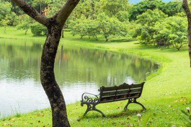 Parkta çim sandalye.