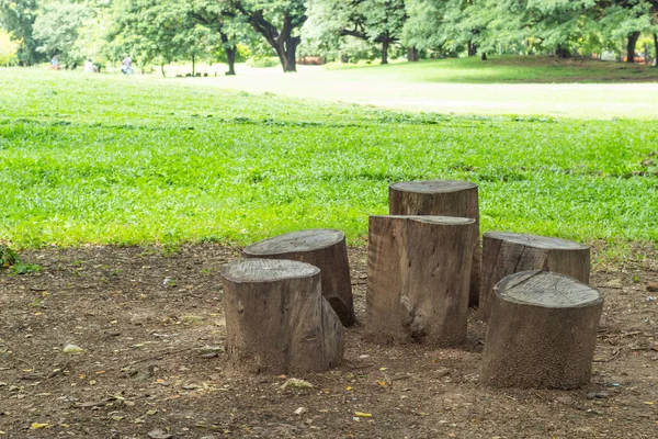 Stühle Auf Dem Rasen Park — Stockfoto