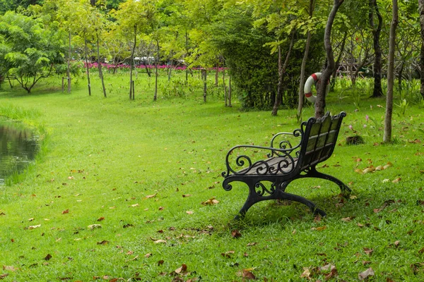 Parkta çim sandalye.