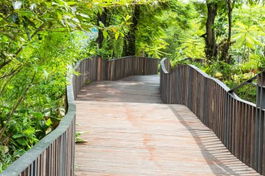 Ahşap köprü ve ağaçlar. Genel bir parkta.