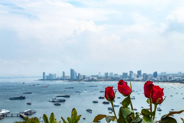 Red rose and sea views of Pattaya ,Thailand.