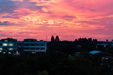 Ağaçların arkasında gün batımının güzel ışığı.