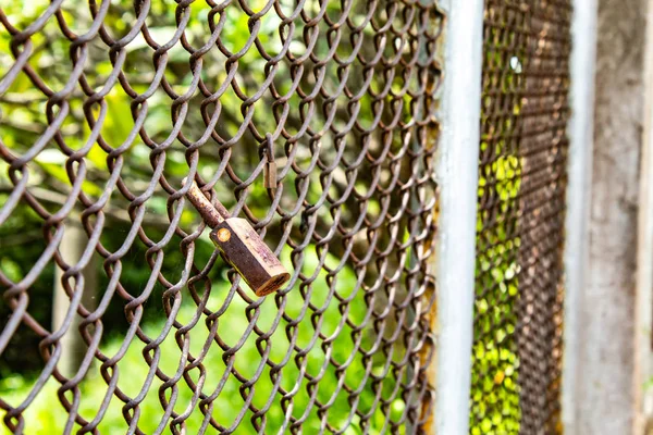 Lock Fence Made Wire — Stock Photo, Image