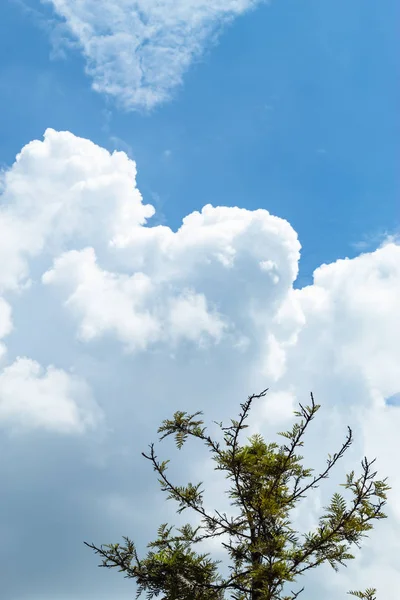 Beleza Céu Com Nuvens Sol — Fotografia de Stock