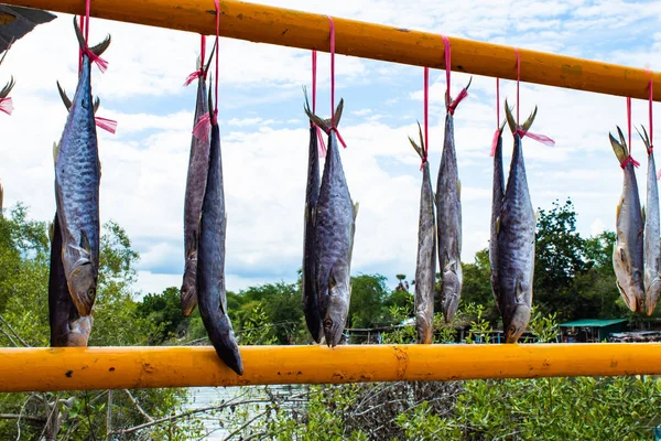 Poisson Salé Qui Est Soleil Ciel — Photo