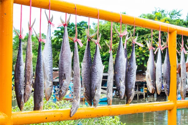 Poisson Salé Qui Est Soleil Ciel — Photo