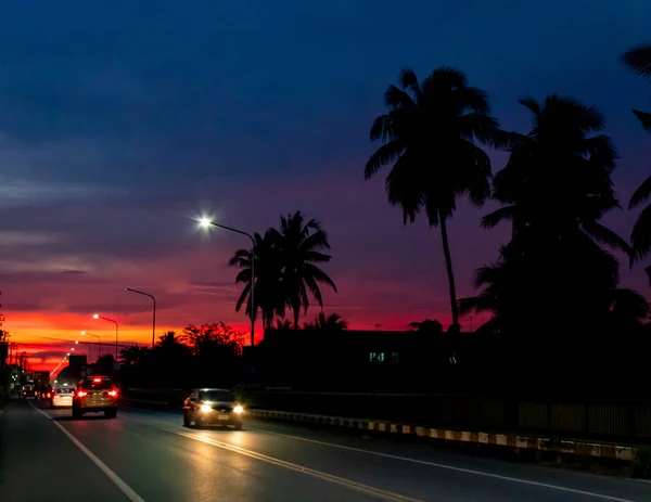 Coucher Soleil Derrière Les Cocotiers Route — Photo