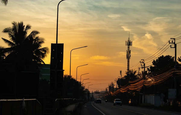 Luz Del Atardecer Detrás Los Cocoteros Camino — Foto de Stock