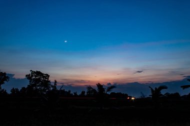 Ağaçların arkasında sunset akşam.