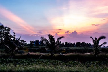 Ağaçların arkasında sunset akşam.