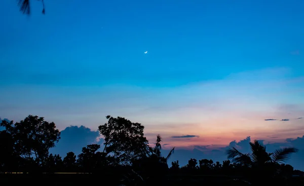 Tramonto Dietro Gli Alberi Sera — Foto Stock