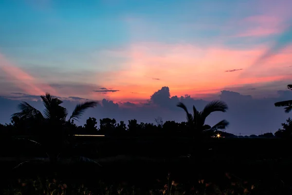 Der Sonnenuntergang Hinter Den Bäumen Abend — Stockfoto