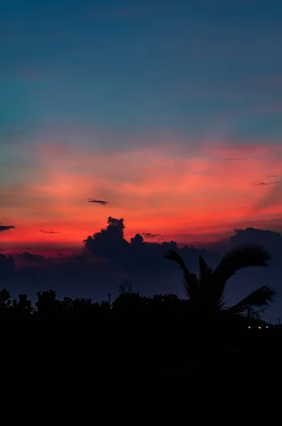 Der Sonnenuntergang Hinter Den Bäumen Abend — Stockfoto