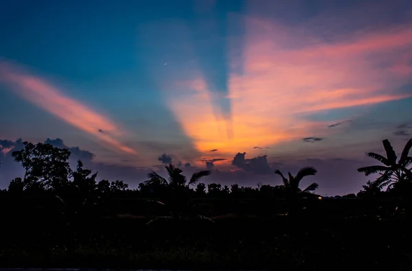 Pôr Sol Atrás Das Árvores Noite — Fotografia de Stock