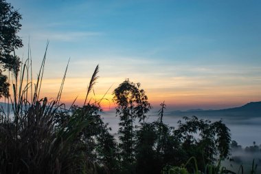 Sis ve güneş dağ sonra sabah.