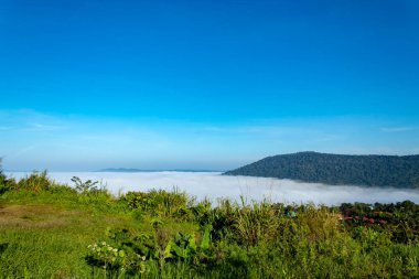 Sis ve güneş dağ sonra sabah.