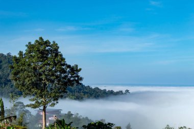 Sis ve güneş dağ sonra sabah.