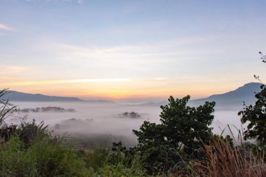 Sis ve güneş dağ sonra sabah.