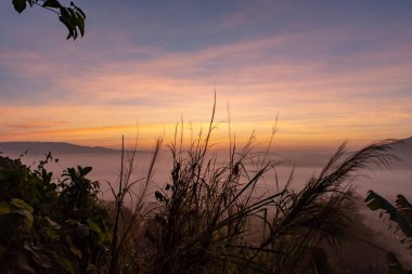 Sis ve güneş dağ sonra sabah.