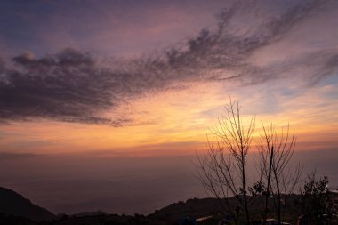 Ağaçlar dağ ve sabah güneşi.