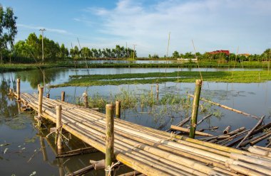 Kanal köprüden bambu.
